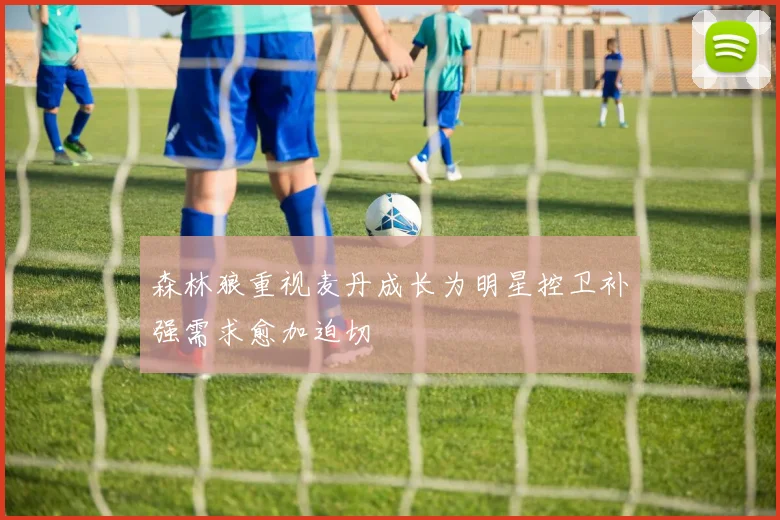 森林狼重视麦丹成长为明星控卫补强需求愈加迫切